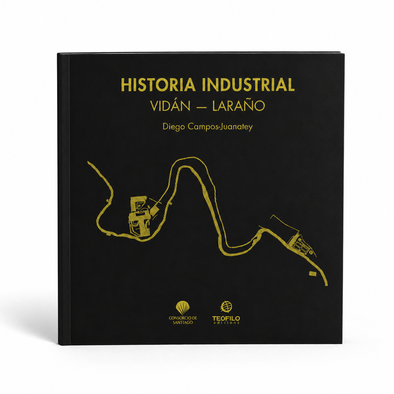 Historia industrial Vidán-Laraño